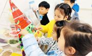 经开区幼儿园获国家级荣誉！